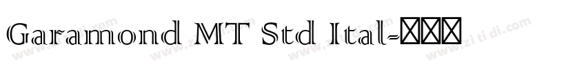 Garamond MT Std Ital字体转换